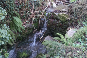 Vendita terreno annesso deposito attrezzi