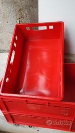 Cassette contenitori plastica 