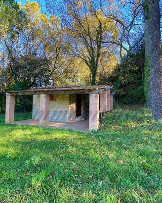 Terreno di 3720 m² a Montescudaio