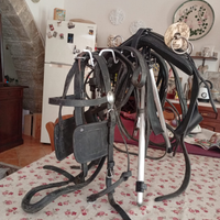 Finimenti per calesse