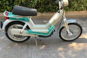 Motorino Atala Idea