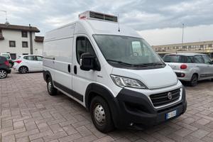 Fiat ducato frigo
