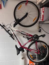 Mtb Carnielli
