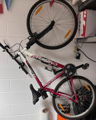Mtb Carnielli