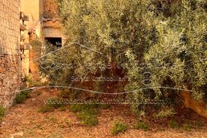 Arbus - Fabbricato in Via XXV Luglio