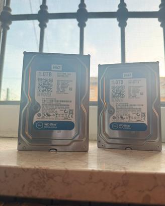 Coppia Hard Disk Western Digital
