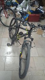 bicicletta rock rider