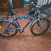 Bici da passeggio CARRERA