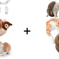 2 giochi per gatti, Flappy Bird e tiragraffi