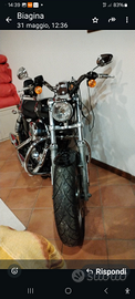Harley davidson sposter 1200_2016
