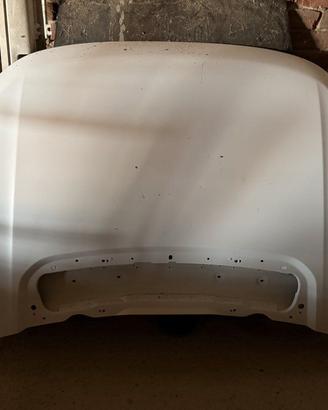 COFANO ANTERIORE DISCOVERY SPORT