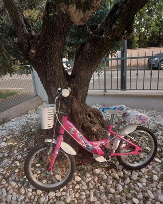 Bicicletta bambina 