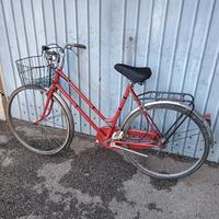 bicicletta donna raggio 26