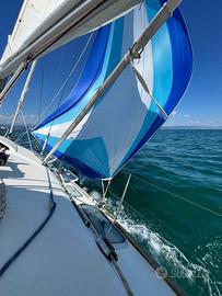Barca a vela Beneteau First 36s7