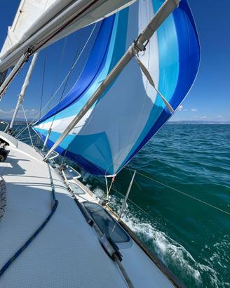 Barca a vela Beneteau First 36s7