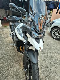 Tiger 900 come nuova