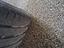 Immagine 24