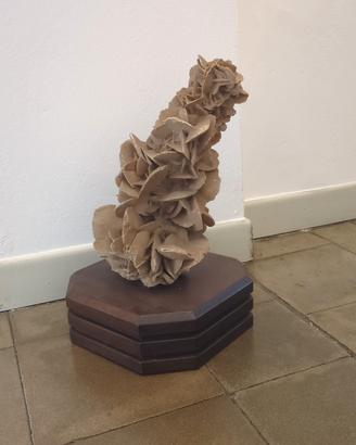 Rosa del Deserto grande 44 cm 10 kg con base