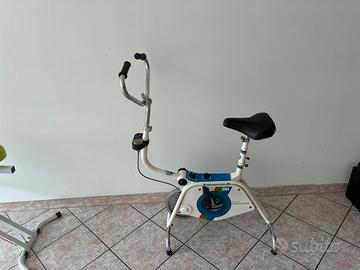 Siclet bianchi