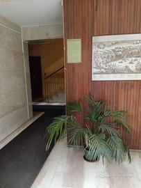 Genova palmaro - non residenti - posto auto