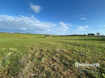 Terreno di 66000 m² a Montalto di Castro
