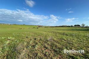 Terreno di 66000 m² a Montalto di Castro