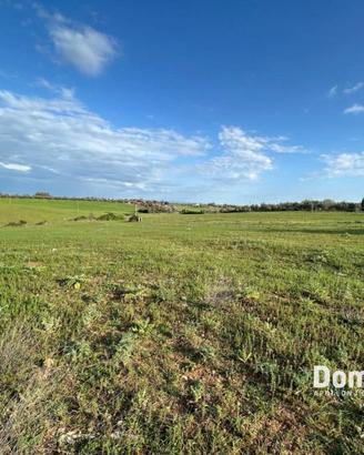 Terreno di 66000 m² a Montalto di Castro