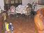 Immagine 14