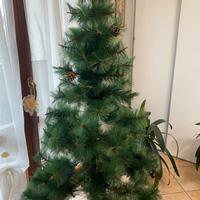Albero di natale