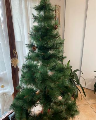 Albero di natale