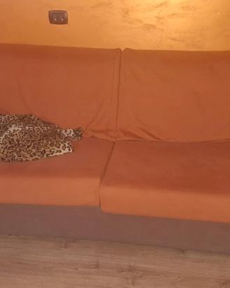 divano letto