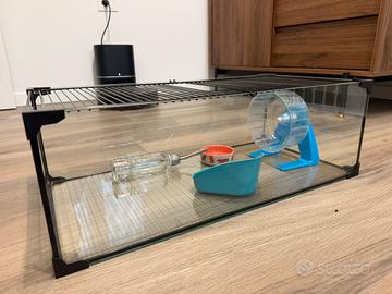 Teca in vetro per  criceti o rettili