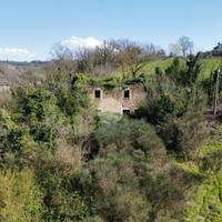 RUSTICO A COLLEVECCHIO