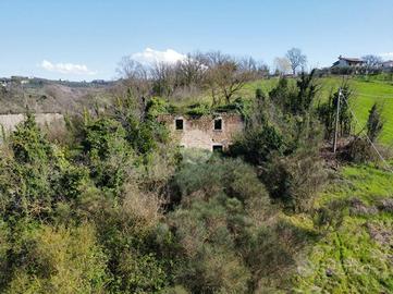 RUSTICO A COLLEVECCHIO