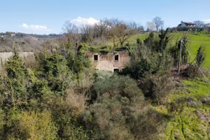 RUSTICO A COLLEVECCHIO