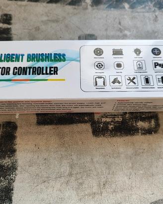 Centralina 36/48v 350w Monopattino Bici Elettrica