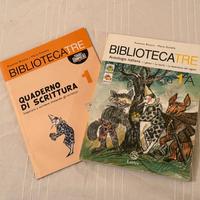 Libri scolastici assortiti (fuori edizione)