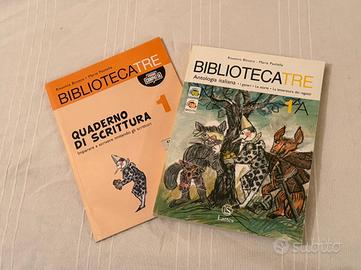 Libri scolastici assortiti (fuori edizione)