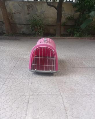 Trasportino animali