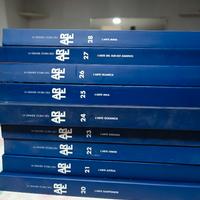 Raccolta Sole 24 Ore " La grande storia dell'arte"