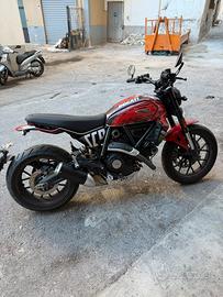 ducati scrambler