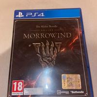 Morrowind Online PS4