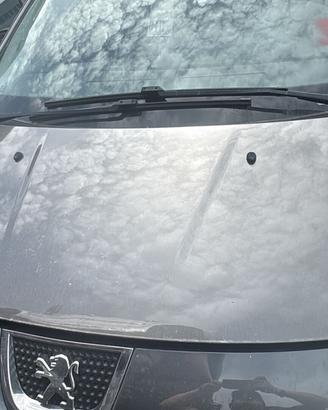PEUGEOT 3008 ANNO 2009 - COFANO ANTERIORE