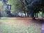 Immagine 20