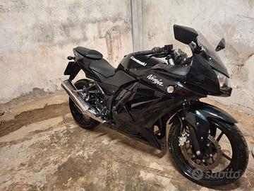 Kawasaki Ninja 250R