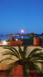 Portisco appartamento vista mare
