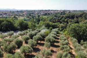 TER. AGRICOLO A FIANO ROMANO