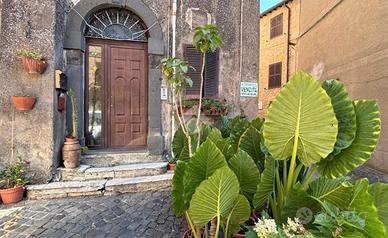 4 LOCALI A GROTTE DI CASTRO