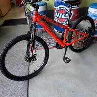 Mountain Bike bambino Ruote 24