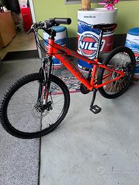 Mountain Bike bambino Ruote 24